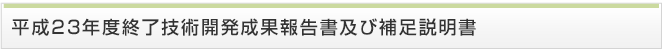 平成22年度終了技術開発成果報告書及び補足説明書